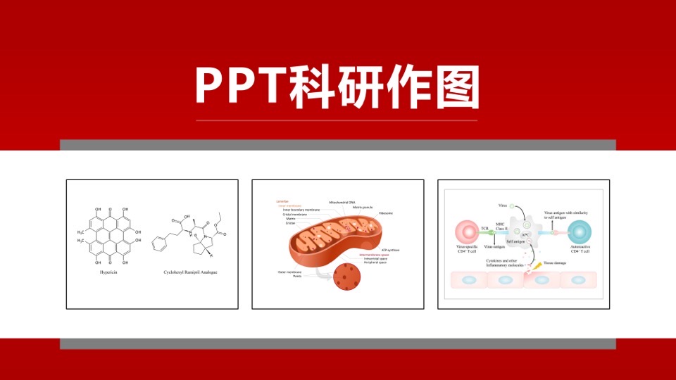 PPT科研作图-限时优惠